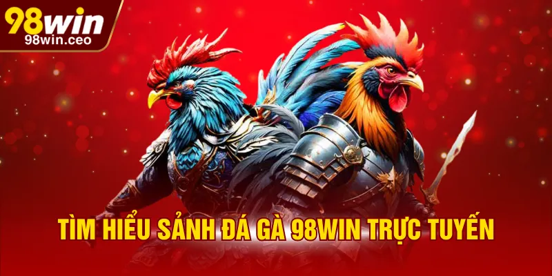 Tìm hiểu sảnh đá gà 98WIN trực tuyến